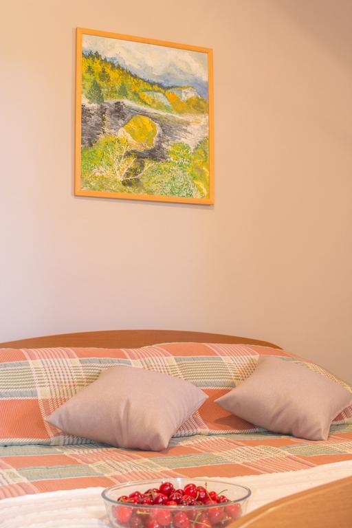 Apartment Masek *